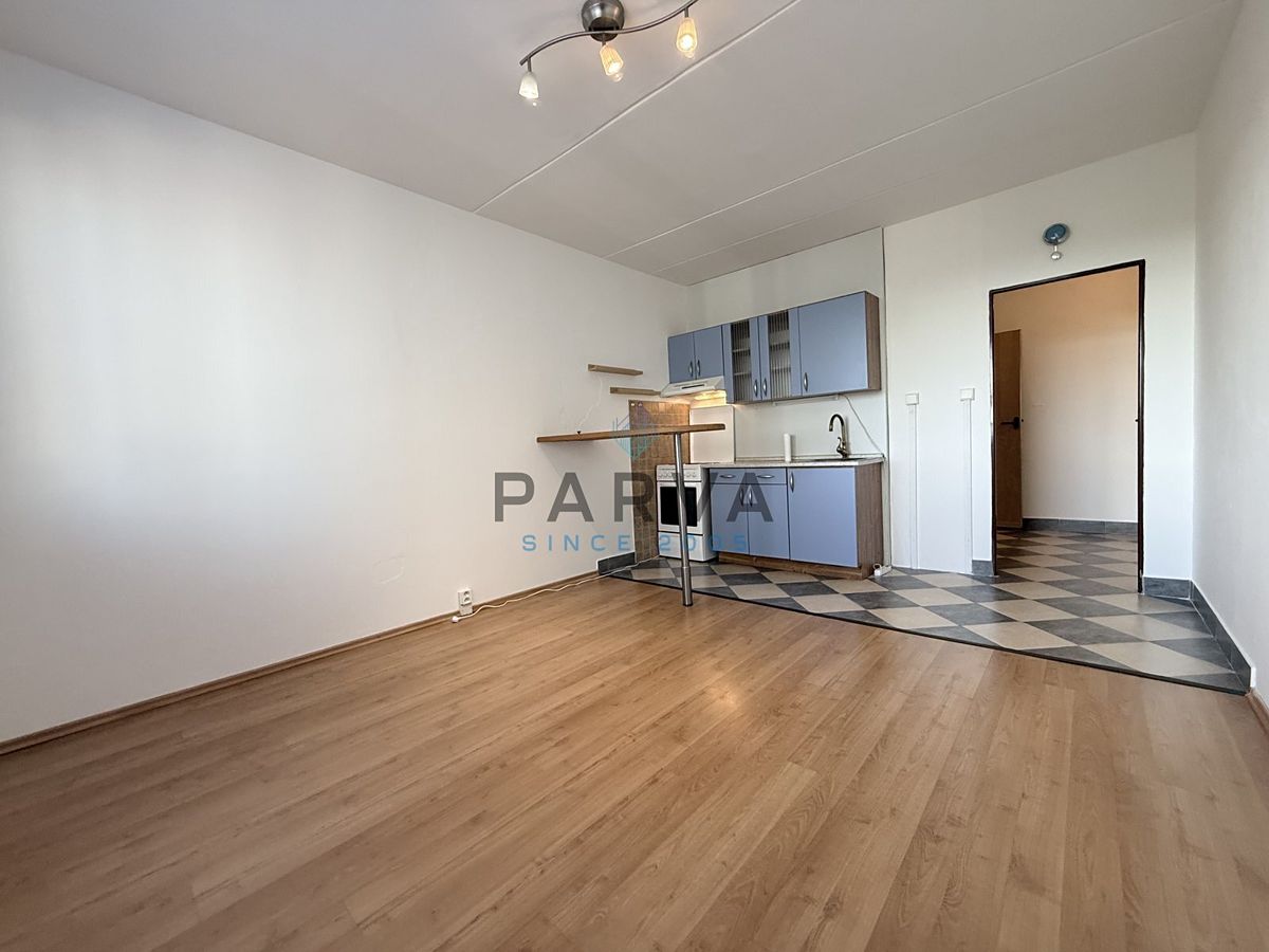 Pronájem bytu 1+1 47 m² – fotografie 5
