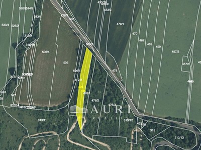 Prodej pozemku, 4 641 m² (3 z 3)