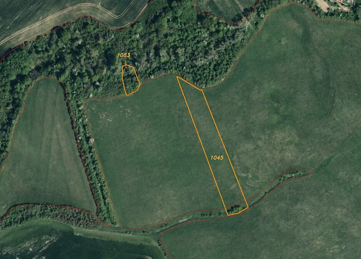 Prodej pole 6524 m²