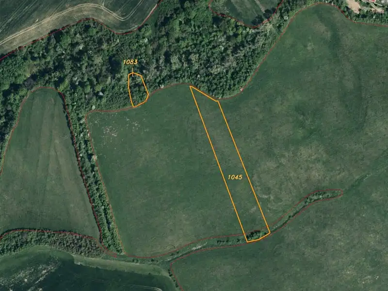 Prodej pole 6524 m², Žlebské Chvalovice – náhled fotky 1