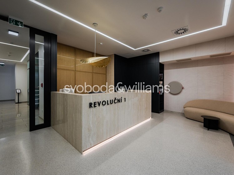 Pronájem komerčního prostoru, 296 m² (3 z 5)