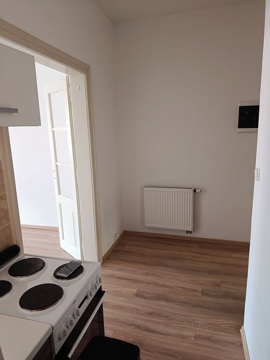 Pronájem bytu 1+1 40 m² – fotografie 3