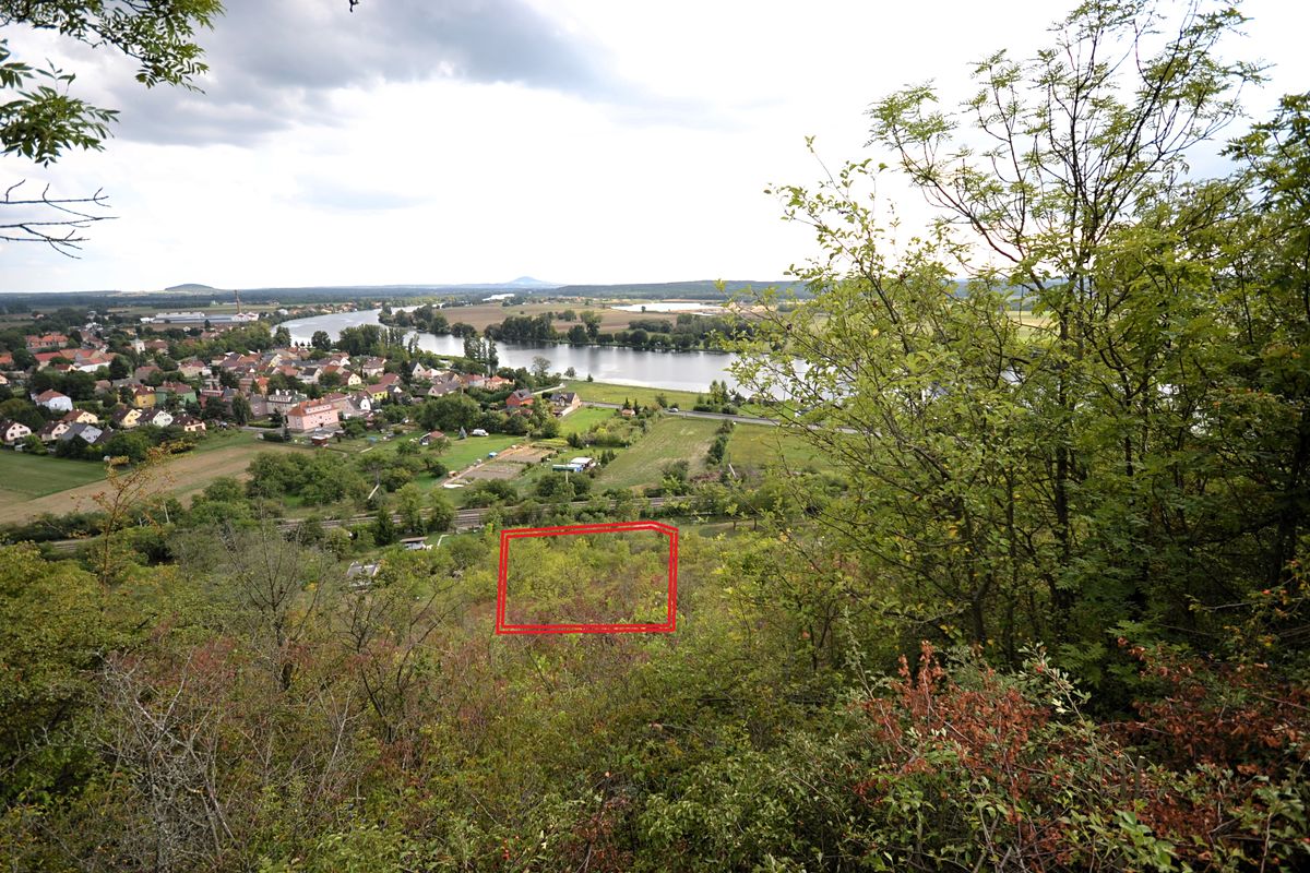 Pronájem zahrady 1500 m² – fotografie 5
