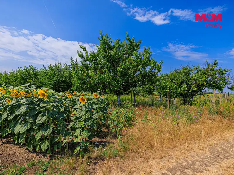 Prodej pole 14490 m², Zaječí – náhled fotky 3