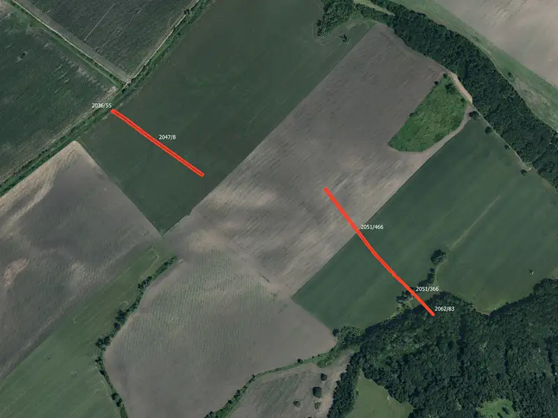 Prodej pole 3240 m², Mikulčice – náhled fotky 2