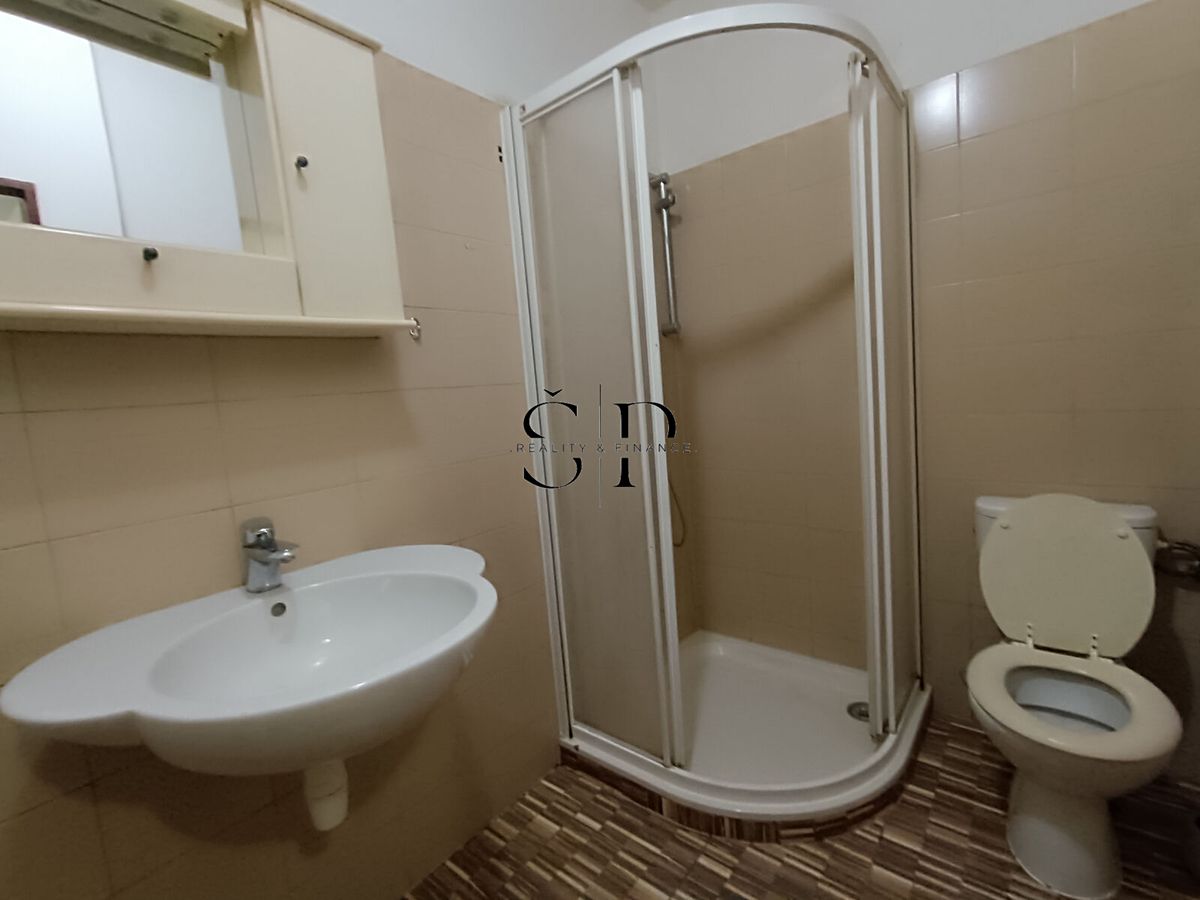 Pronájem bytu 1+1 47 m² – fotografie 5