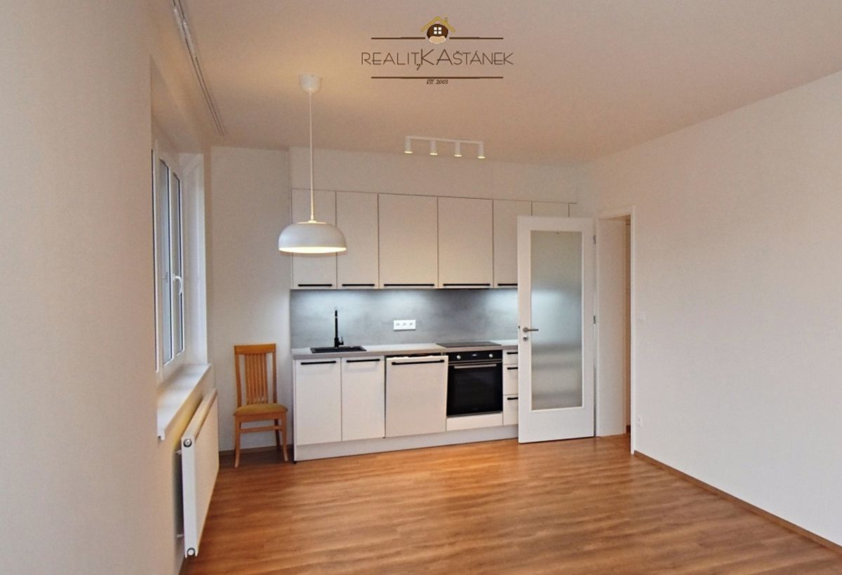 Pronájem bytu 1+kk 48 m²