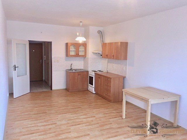 Pronájem bytu 1+kk 35 m² – fotografie 4