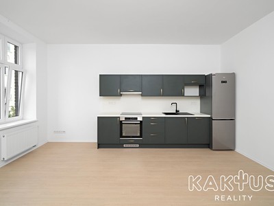 Wohnung 1+kk zur Miete, 23 m² (2 von 14)