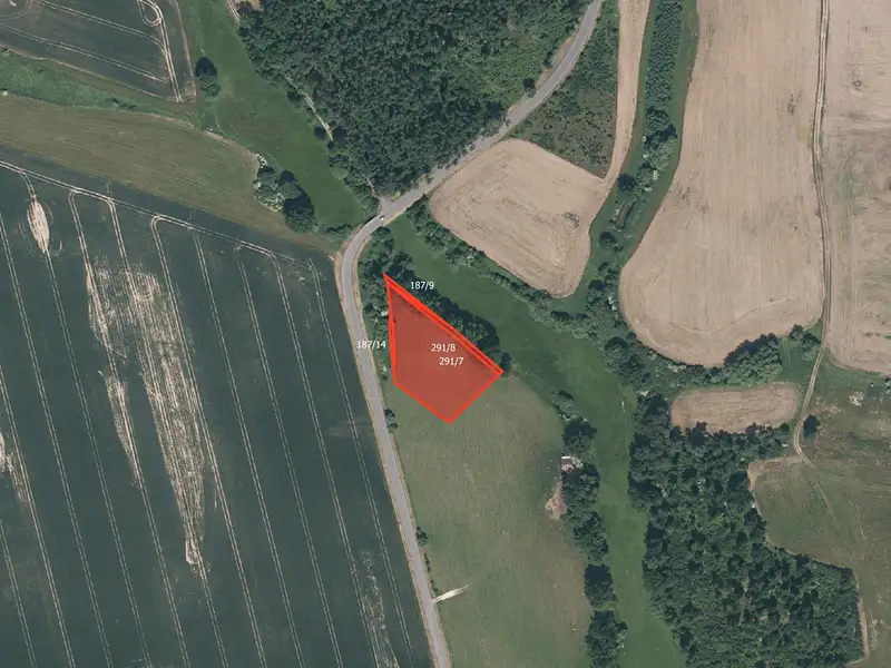 Prodej pole 41758 m², Velký Bor – náhled fotky 2