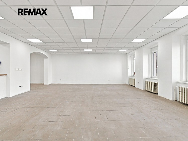 Pronájem komerčního prostoru, 171 m² (5 z 39)