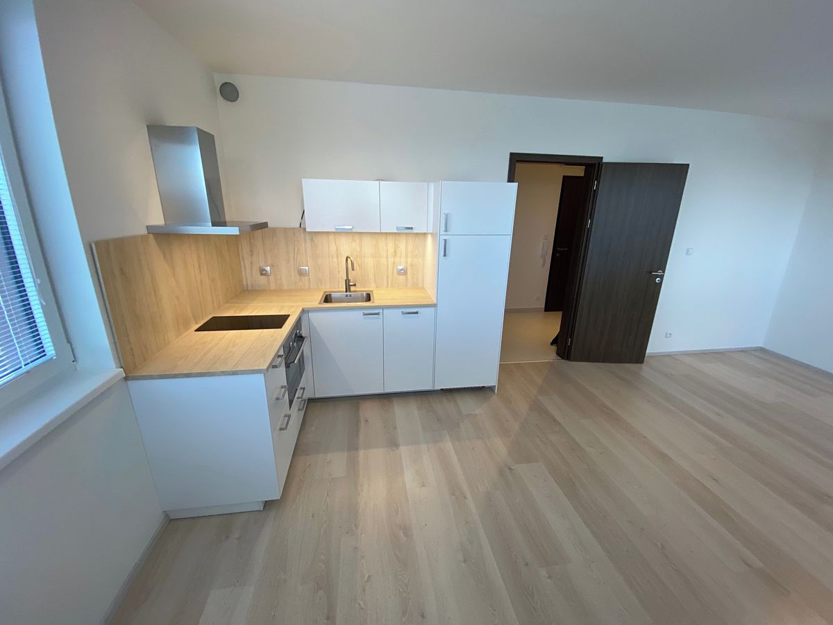 Pronájem bytu 1+kk 40 m²