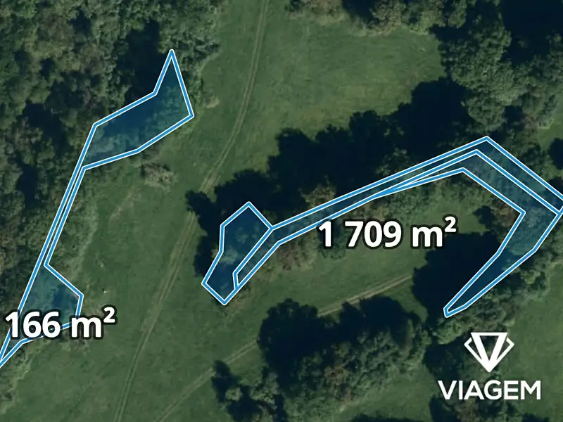 Prodej lesa 2875 m², Suchdol nad Odrou – náhled fotky 1