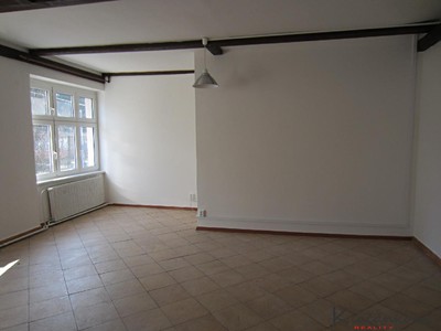 Wohnung 1+kk zur Miete, 45 m² (3 von 12)