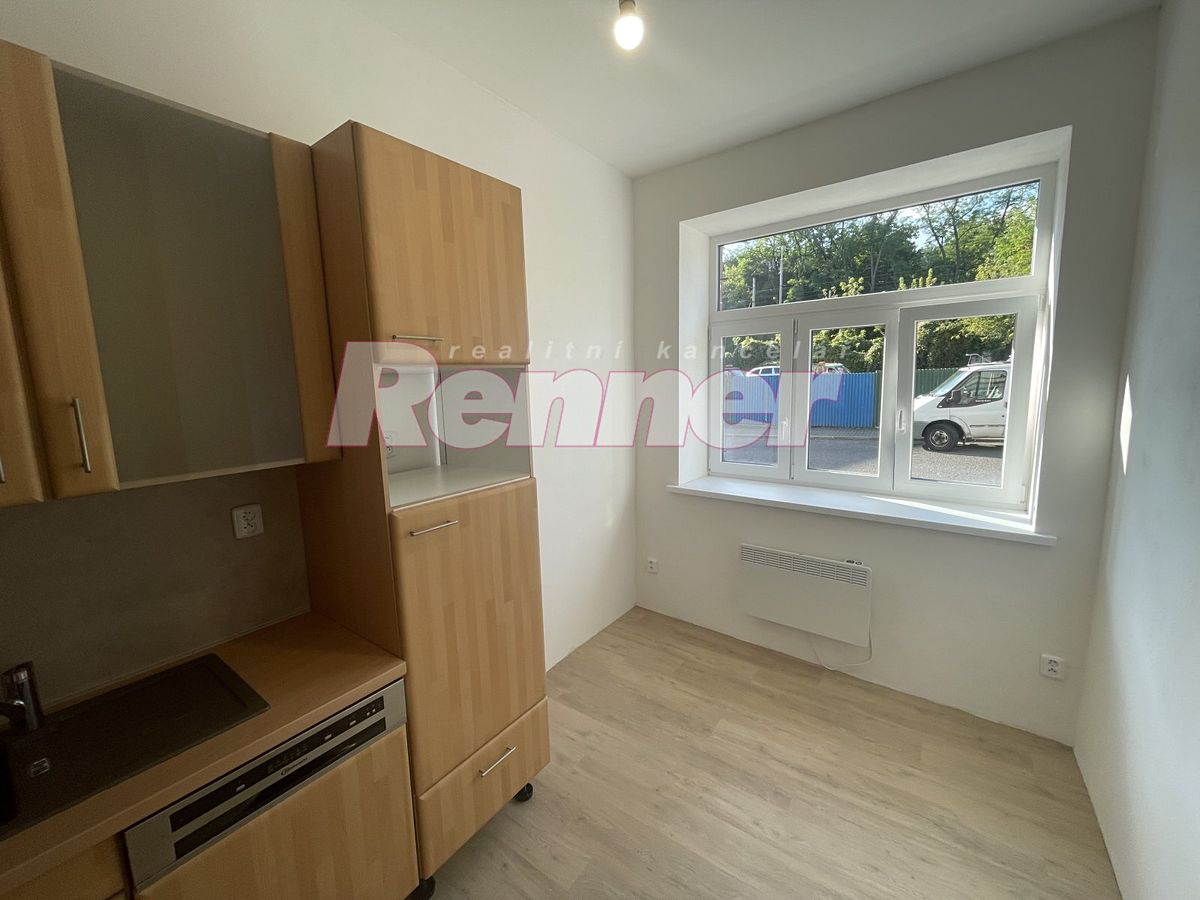 Pronájem bytu 1+1 44 m² – fotografie 3