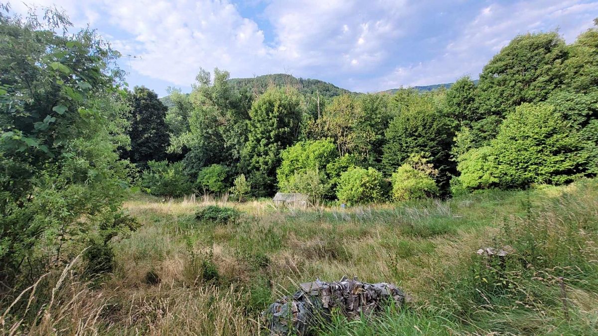 Prodej chaty 16 m², pozemek 1167 m² – fotografie 5