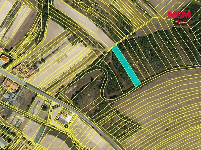 Prodej louky 1622 m², Dambořice – náhled fotky 3
