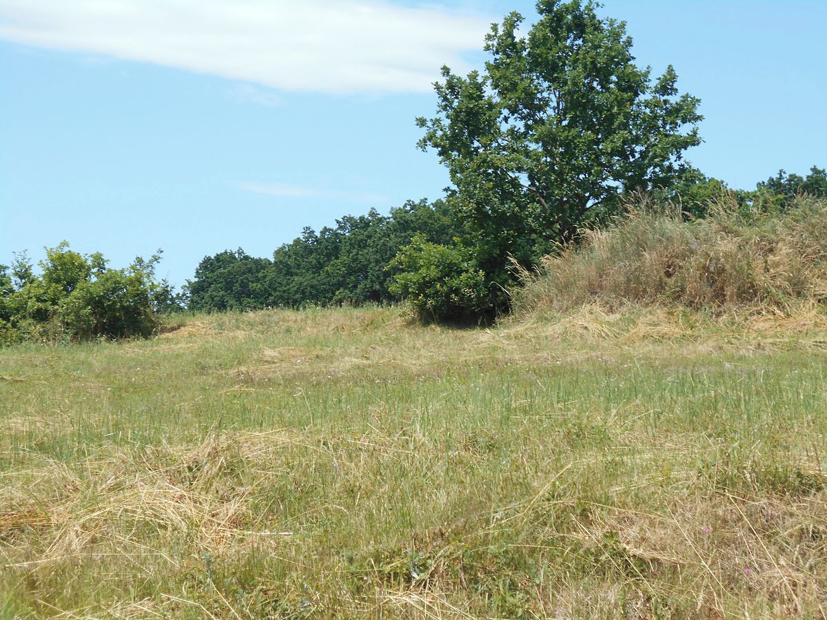 Prodej stavebního pozemku 1184 m² – fotografie 5