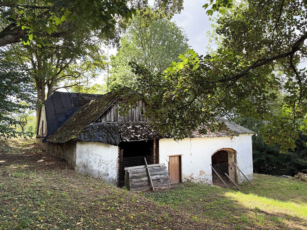 Prodej chalupy 160 m², pozemek 5396 m² – fotografie 4