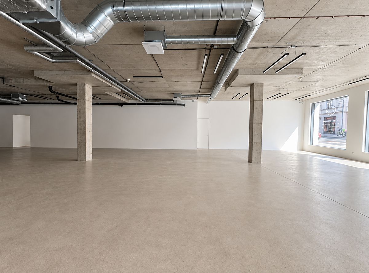 Pronájem obchodního prostoru 246 m² – fotografie 3
