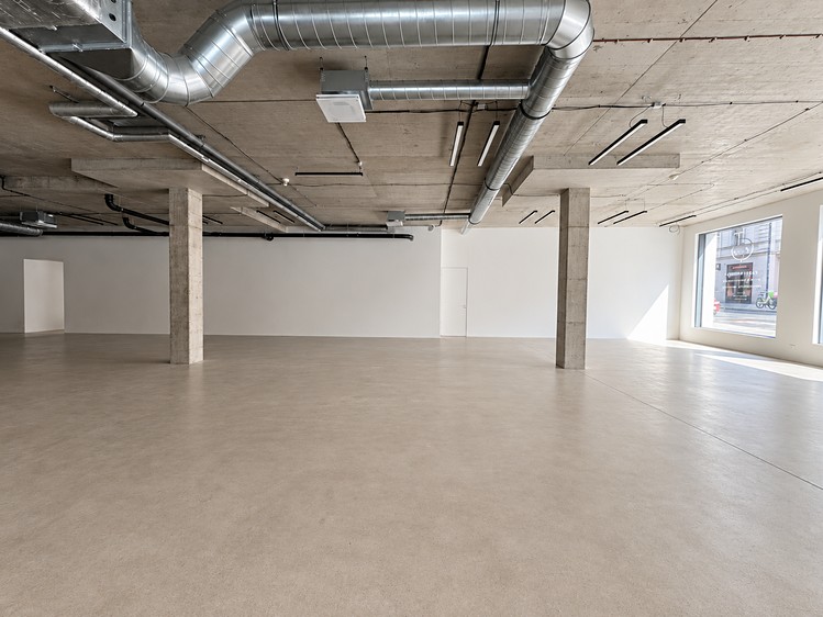 Комерційне приміщення в оренду, 246 м² (3 з 6)