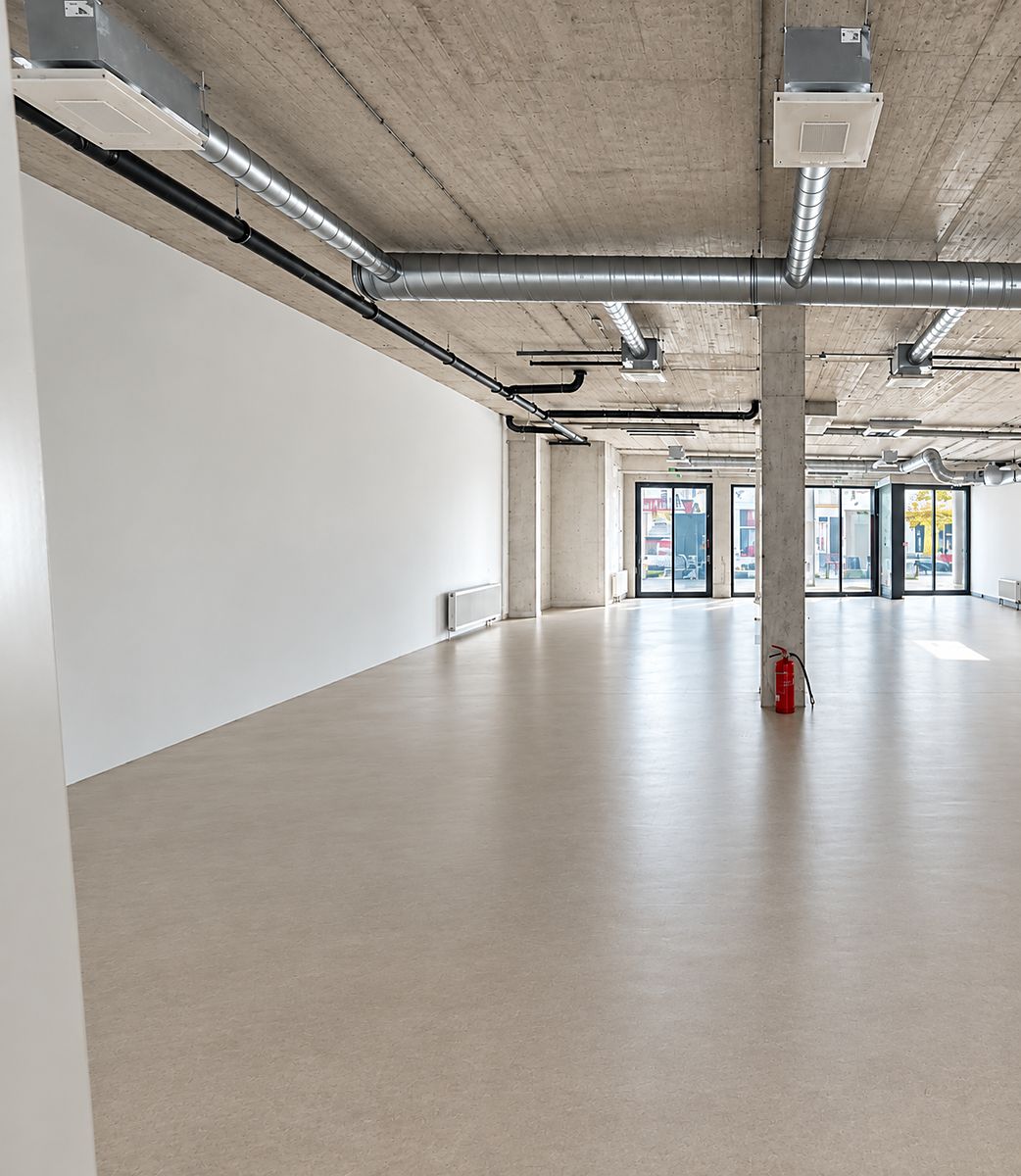 Pronájem obchodního prostoru 246 m² – fotografie 4