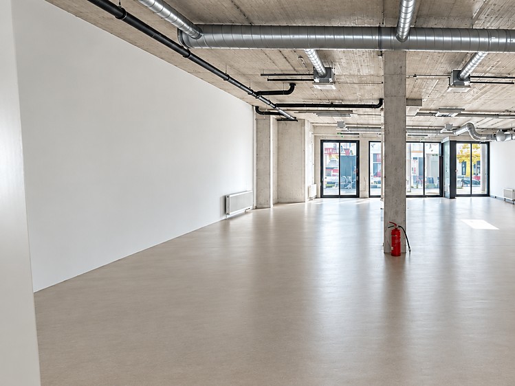 Комерційне приміщення в оренду, 246 м² (4 з 6)