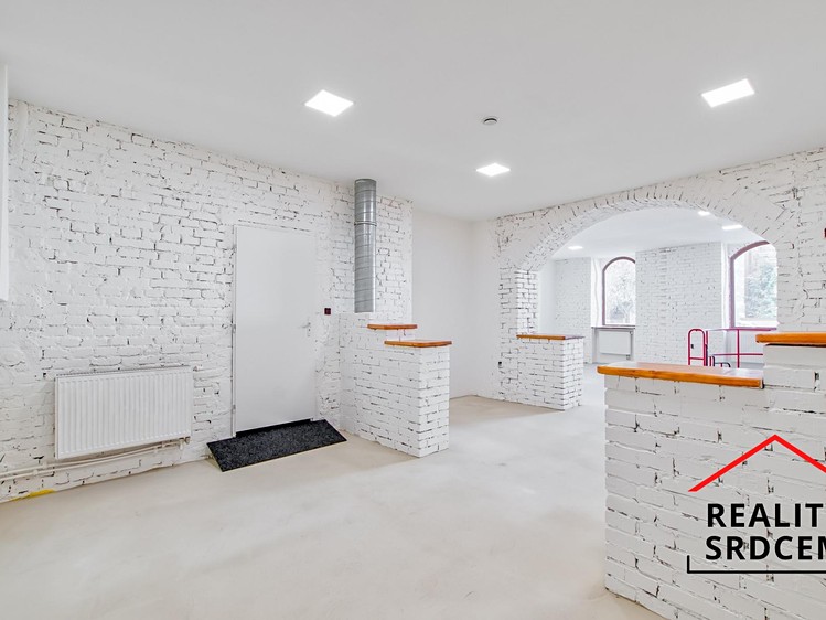 Комерційне приміщення в оренду, 167 м² (4 з 29)