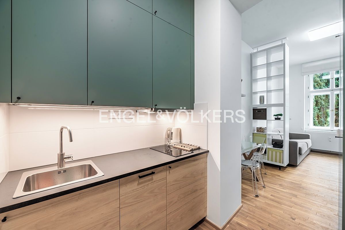 Pronájem bytu 1+kk 28 m² – fotografie 4