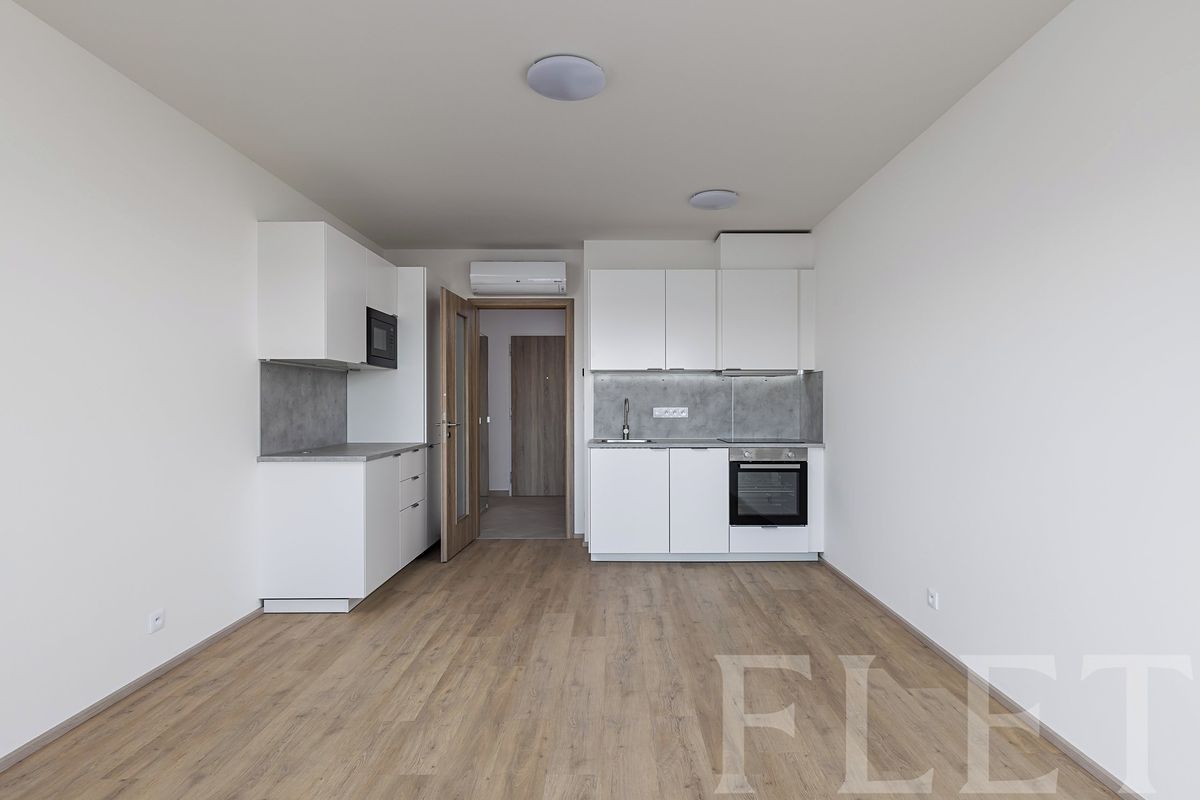 Pronájem bytu 1+kk 33 m² – fotografie 4