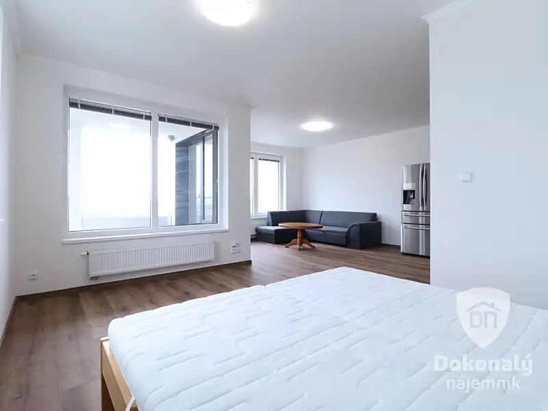 Pronájem bytu 1+kk 53 m², Praha – náhled fotky 2