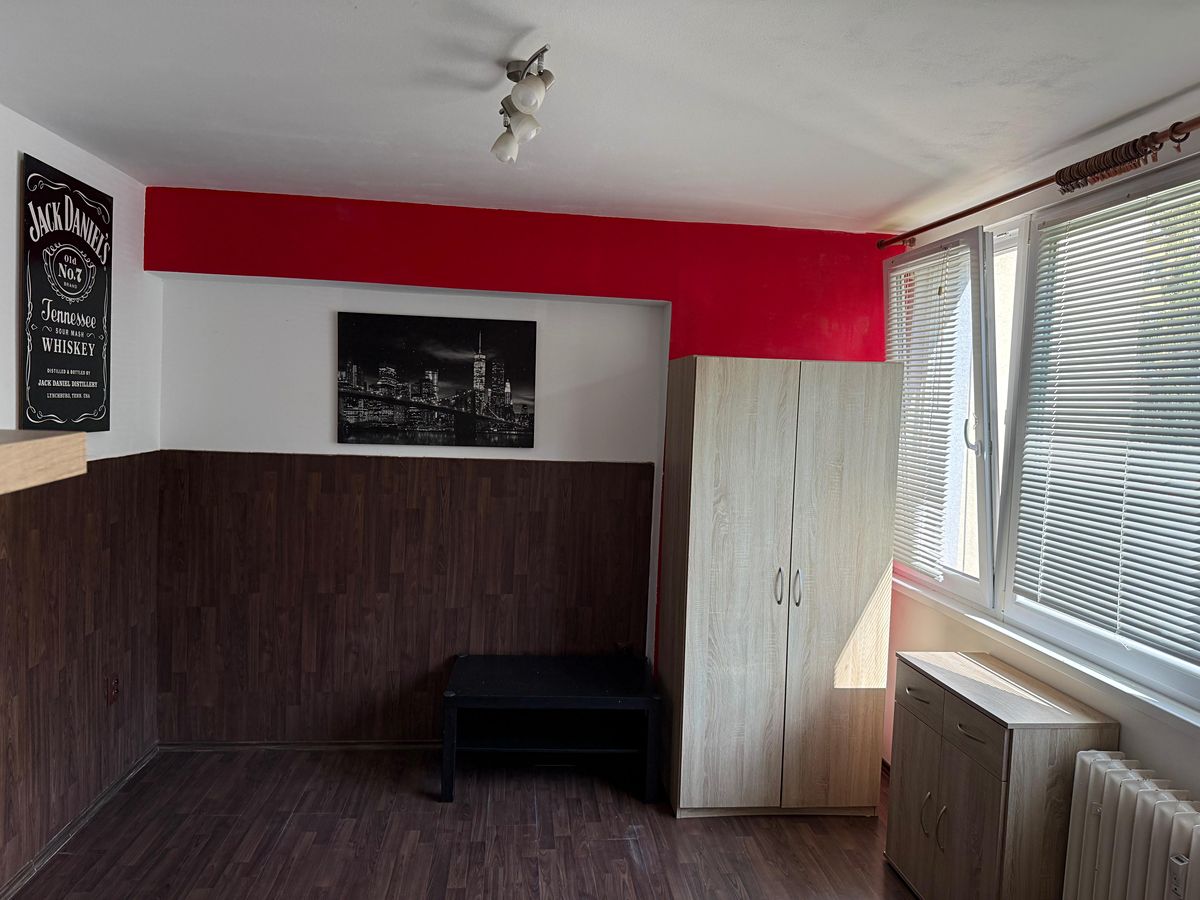 Pronájem bytu 1+1 25 m² – fotografie 5