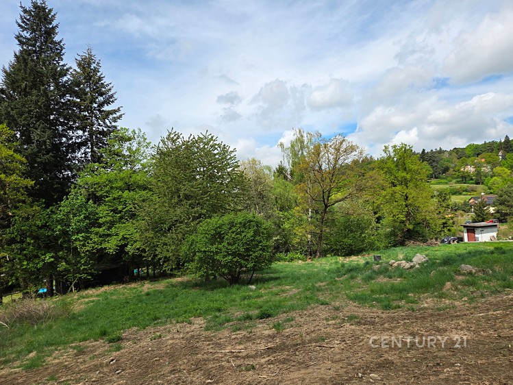 Grundstück zum Kauf, 1.217 m² (9 von 12)