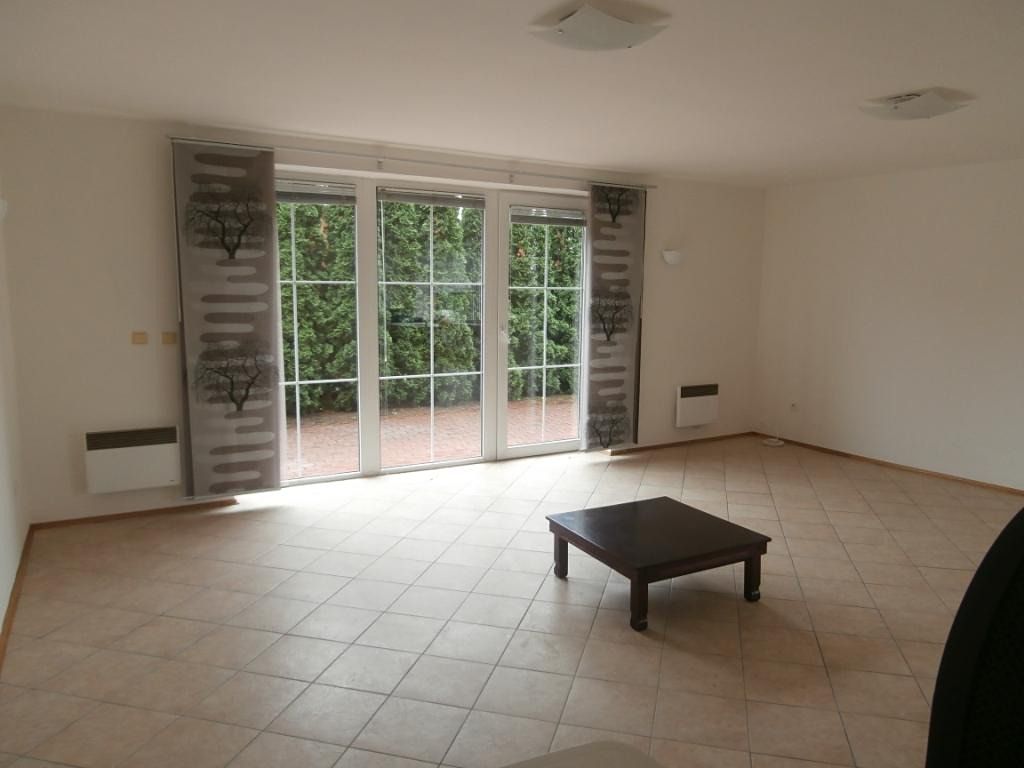 Pronájem rodinného domu 250 m², pozemek 383 m² – fotografie 3