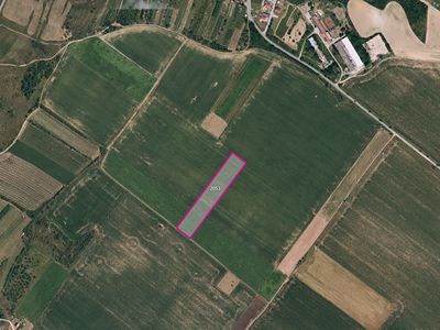 Prodej pole 5390 m²