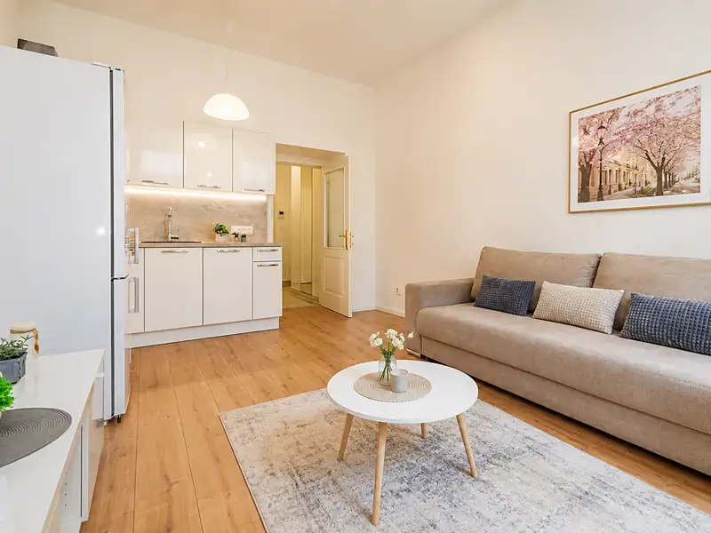 Prodej bytu 1+kk 28 m², Praha – náhled fotky 2