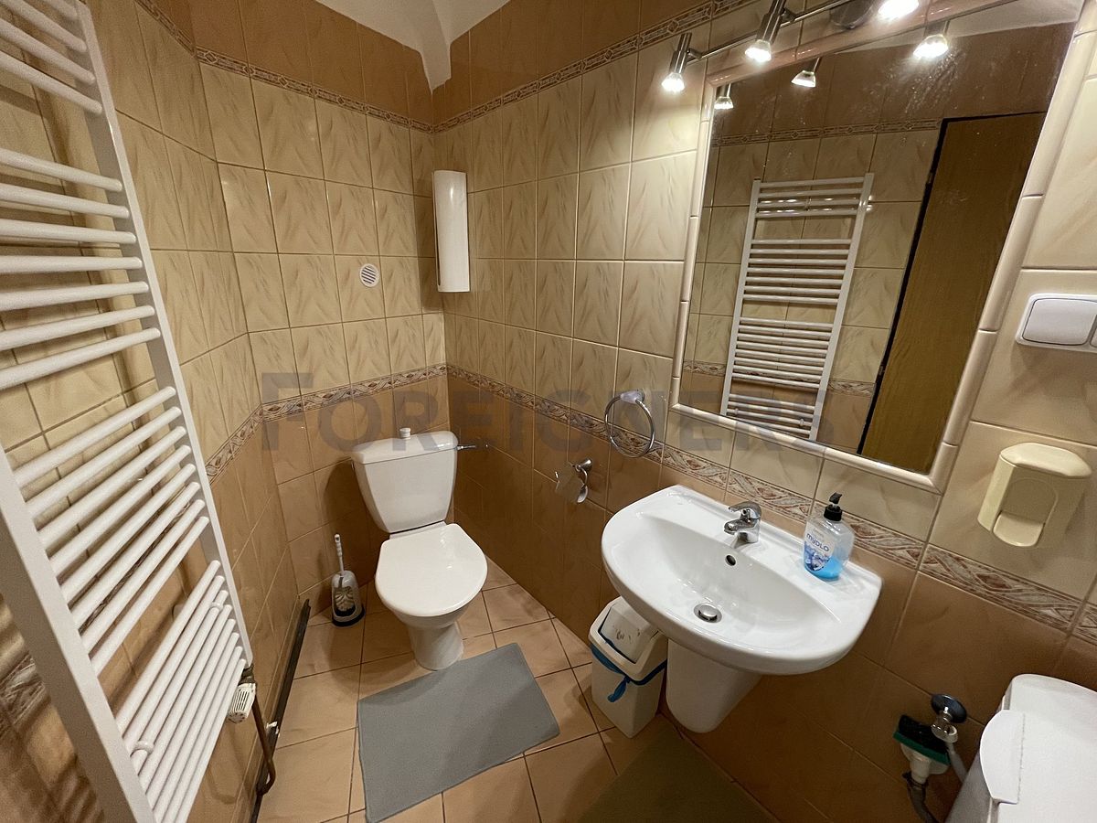 Pronájem bytu 1+kk 35 m² – fotografie 4