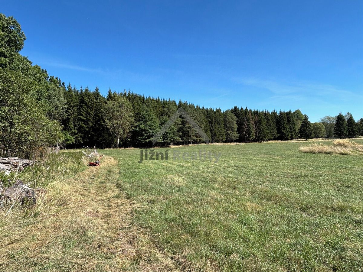 Prodej rodinného domu 120 m², pozemek 1233 m² – fotografie 3