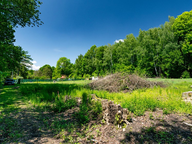 Ділянка на продаж, 2 646 м² (4 з 12)