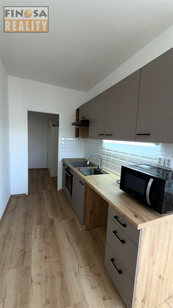 Pronájem bytu 1+1 45 m² – fotografie 3
