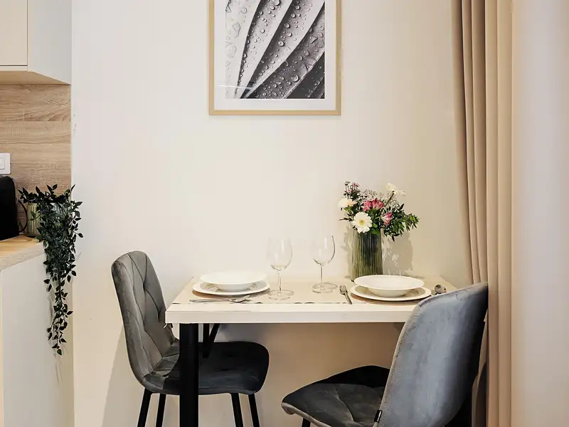 Pronájem bytu 1+kk 28 m², Brno – náhled fotky 3
