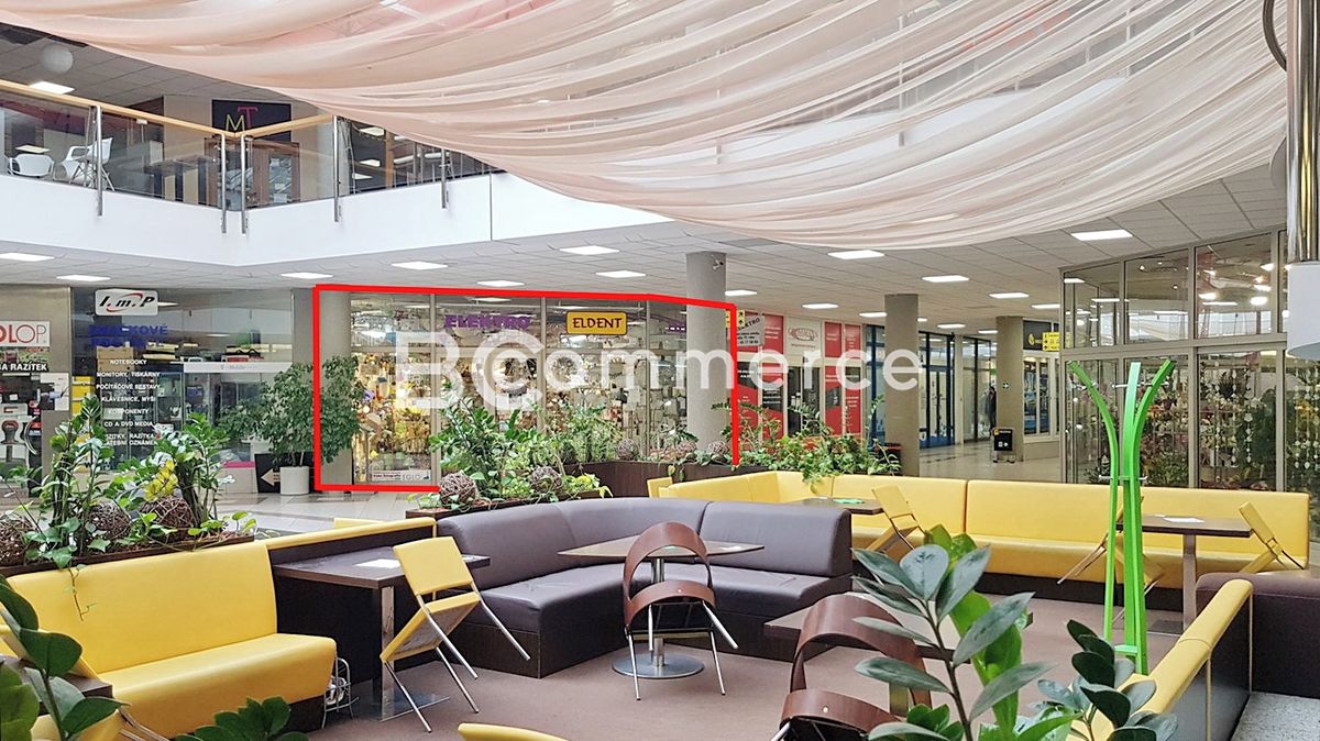 Prodej obchodního prostoru 172 m² – fotografie 2