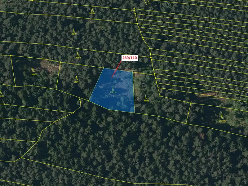 Dražba lesa 1701 m², Břežany – náhled fotky 2