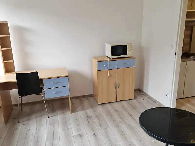 Prodej bytu 1+kk 23 m², Brno – náhled fotky 3