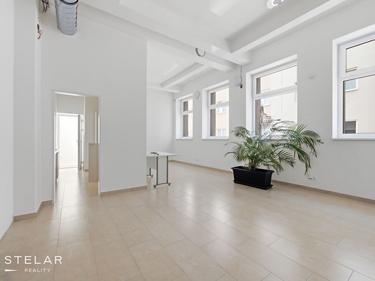 Pronájem komerčního prostoru, 538 m² (6 z 22)
