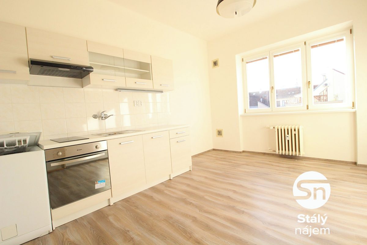 Pronájem bytu 1+1 43 m²