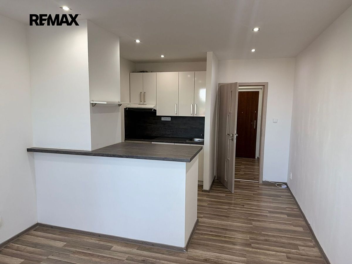 Pronájem bytu 1+kk 31 m²
