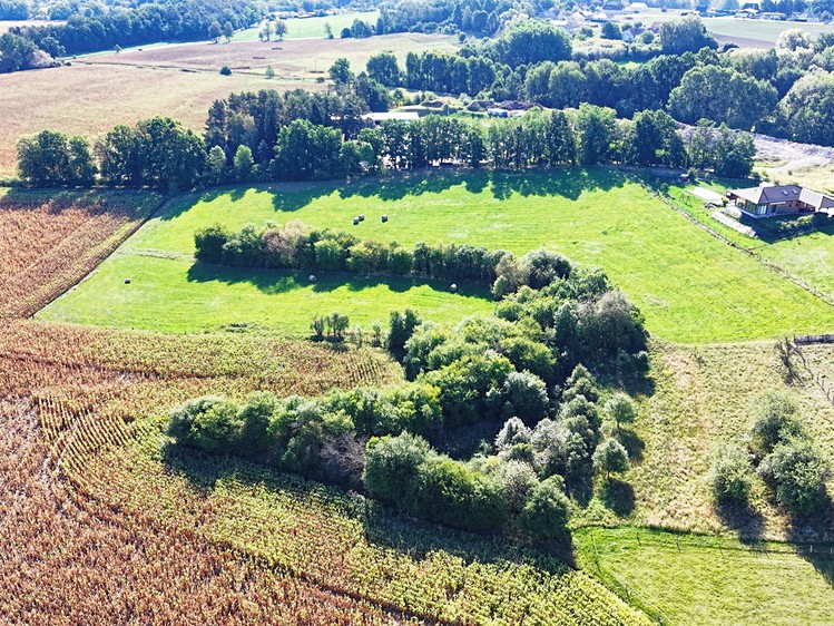 Prodej pozemku, 960 m² (5 z 13)