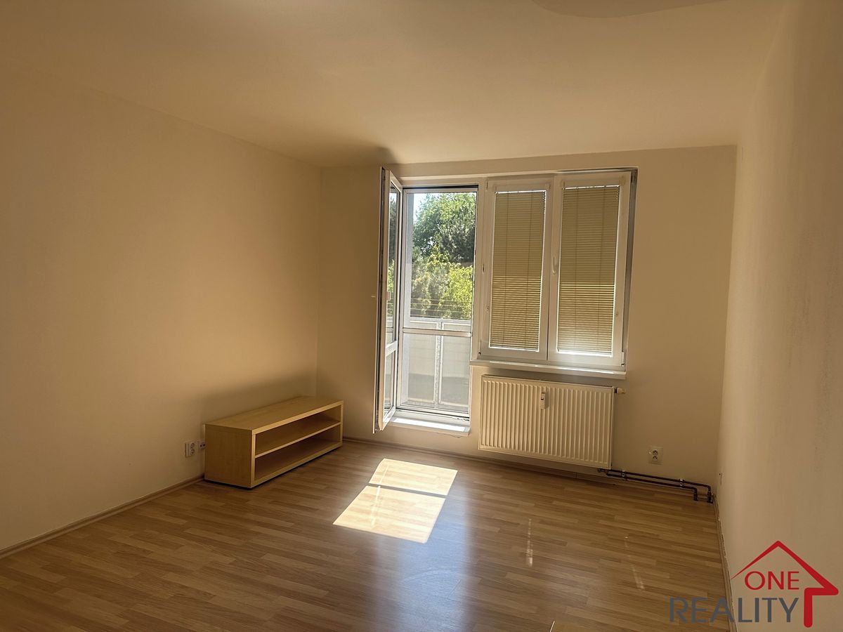 Pronájem bytu 1+1 35 m² – fotografie 3