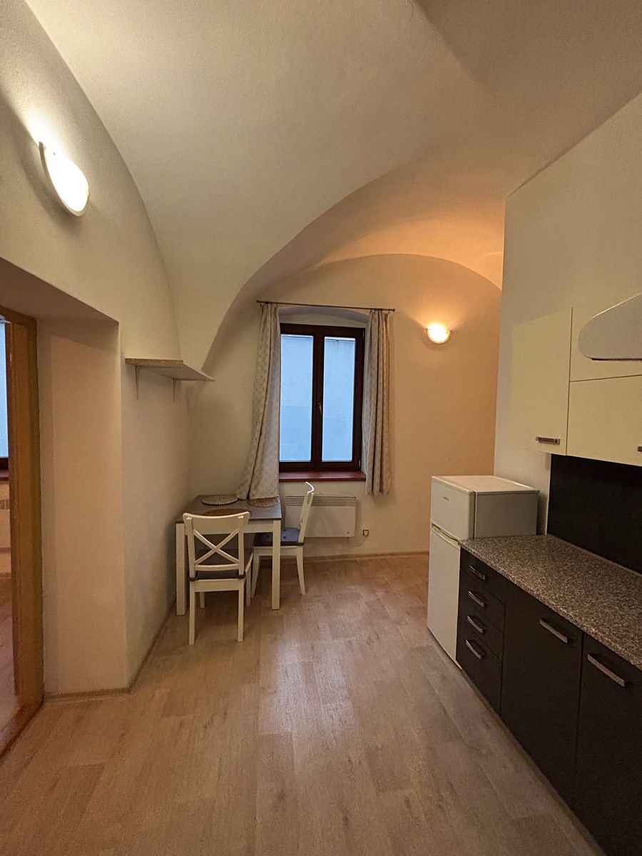 Pronájem bytu 1+1 45 m² – fotografie 4